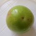 Ovoce a zelenina: <i>Psidium guajava</i> (kvajava hruškovitá) <i>Myrtaceae</i>