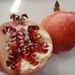 Ovoce a zelenina: <i>Punica granatum</i> (marhaník granátový) <i>Punicaceae</i>2