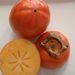 Ovoce a zelenina: <i>Diospyros kaki</i> (tomel japonský) <i>Ebenaceae</i>1