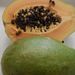 Ovoce a zelenina: <i>Carica papaya</i> (papája) <i>Caricaceae</i>
