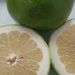 Ovoce a zelenina: <i>Citrus aurantifolia</i> (kyselý lajm) <i>Rutaceae</i>1