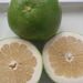 Ovoce a zelenina: <i>Citrus aurantifolia</i> (kyselý lajm) <i>Rutaceae</i>