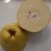 Ovoce a zelenina: <i>Cydonia oblonga</i> (kdouloň podlouhlá) <i>Malaceae</i>4