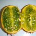 Ovoce a zelenina: <i>Cucumis metuliferus</i> (ostnitá okurka, kiwano) <i>Cucurbitaceae</i>