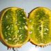 Ovoce a zelenina: <i>Cucumis metuliferus</i> (ostnitá okurka, kiwano) <i>Cucurbitaceae</i>1