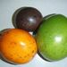 Ovoce a zelenina: <i>Passiflora edulis</i> (mučenka jedlá) <i>Passifloraceae</i>3