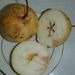 Ovoce a zelenina: <i>Pyrus pyrifolia</i> (hruška hruškolistá ) <i>Malaceae</i>2