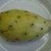 Ovoce a zelenina: <i>Hylocereus undulatus</i> (pitahaja) <i>Cactaceae</i>4