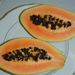 Ovoce a zelenina: <i>Carica papaya</i> (papája) <i>Caricaceae</i>3