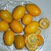 Ovoce a zelenina: <i>Fortunella margarita</i> (oválný kumkvat) <i>Rutaceae</i>