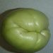 Ovoce a zelenina: <i>Sechium edule</i> (čajot jedlý) <i>Cucurbitaceae</i>