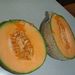 Ovoce a zelenina: <i>Cucumis melo</i> (meloun cukrový) <i>Cucurbitaceae</i>1