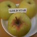 Jablka s popisem: Gold star