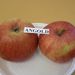 Jablka s popisem: Angold