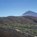Subalpínské křovité formace na Tenerife - 2
