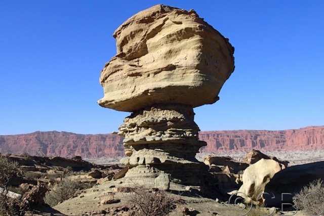 Stone mushroom